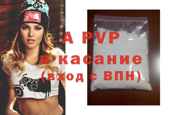 дживик Бородино