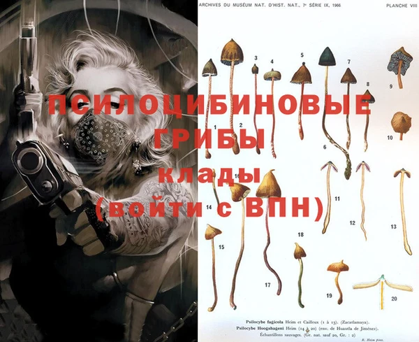 первитин Бронницы
