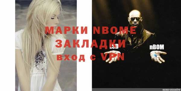дживик Бородино