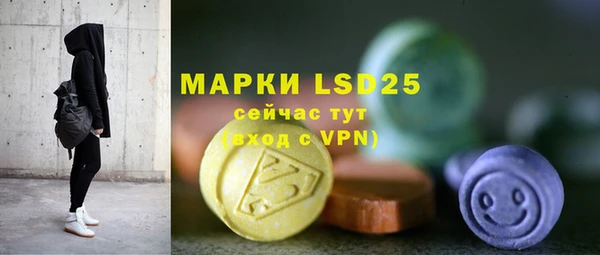 дживик Бородино