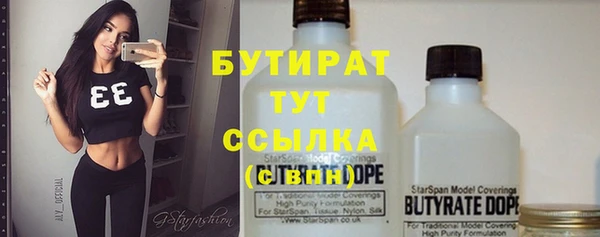 дживик Бородино