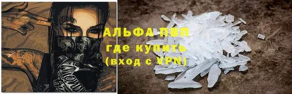 дживик Бородино