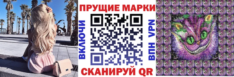 где купить наркоту  Королёв  hydra вход  Марки N-bome 1,8мг 