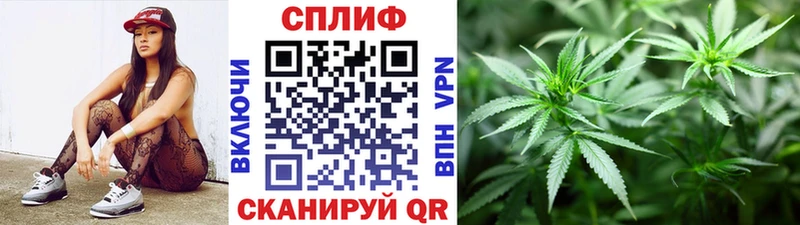 Конопля семена  закладка  Королёв 